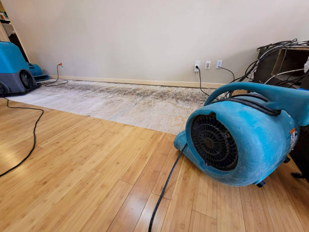 Professional Flood Damage Cleanup technician working in Decatur, IL